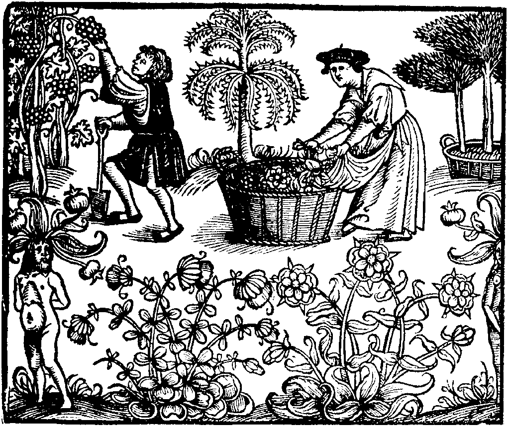 peasants-in-herb-garden